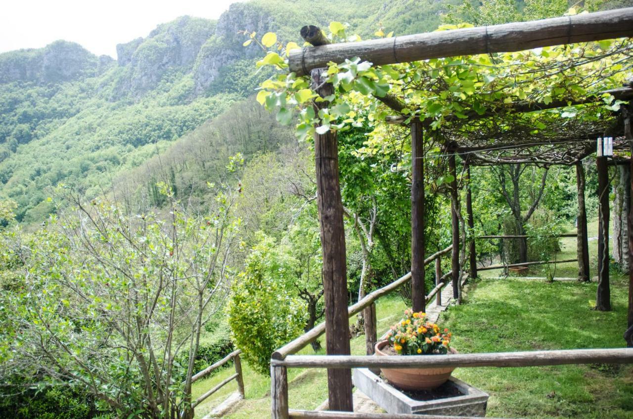 Il Frutteto Natura A Relax Stazzema Exteriér fotografie