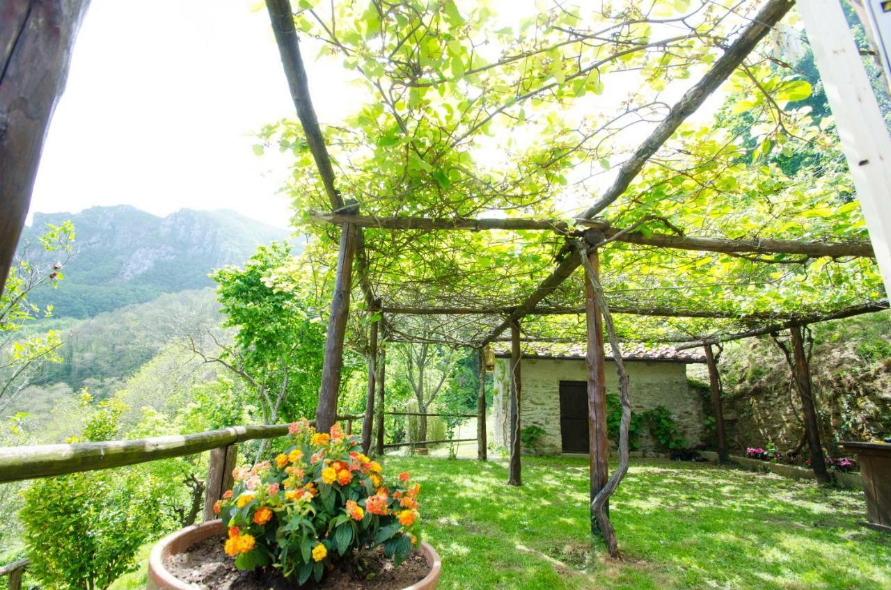 Il Frutteto Natura A Relax Stazzema Exteriér fotografie