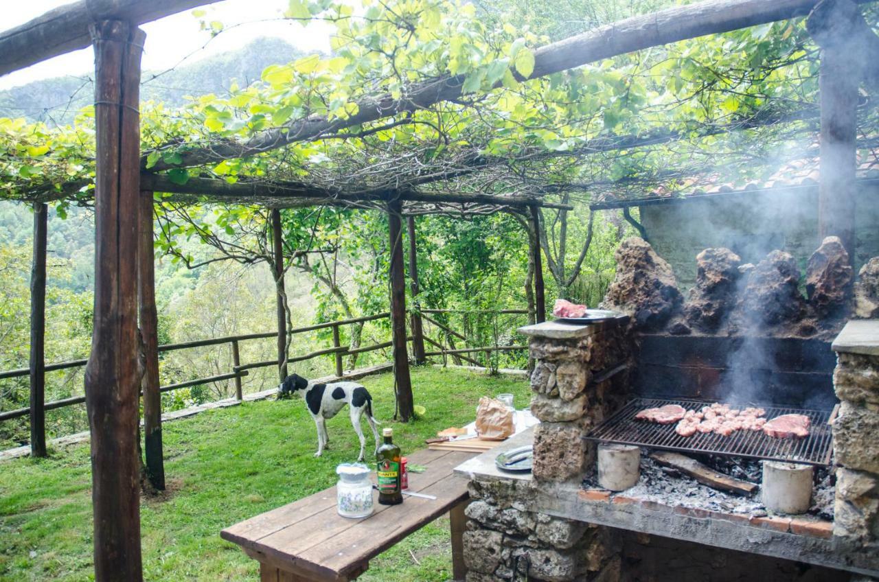 Il Frutteto Natura A Relax Stazzema Exteriér fotografie