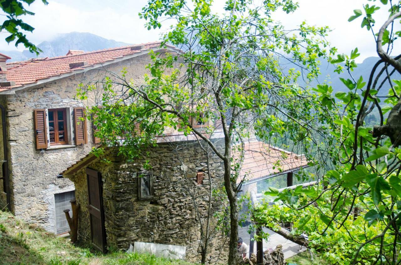 Il Frutteto Natura A Relax Stazzema Exteriér fotografie