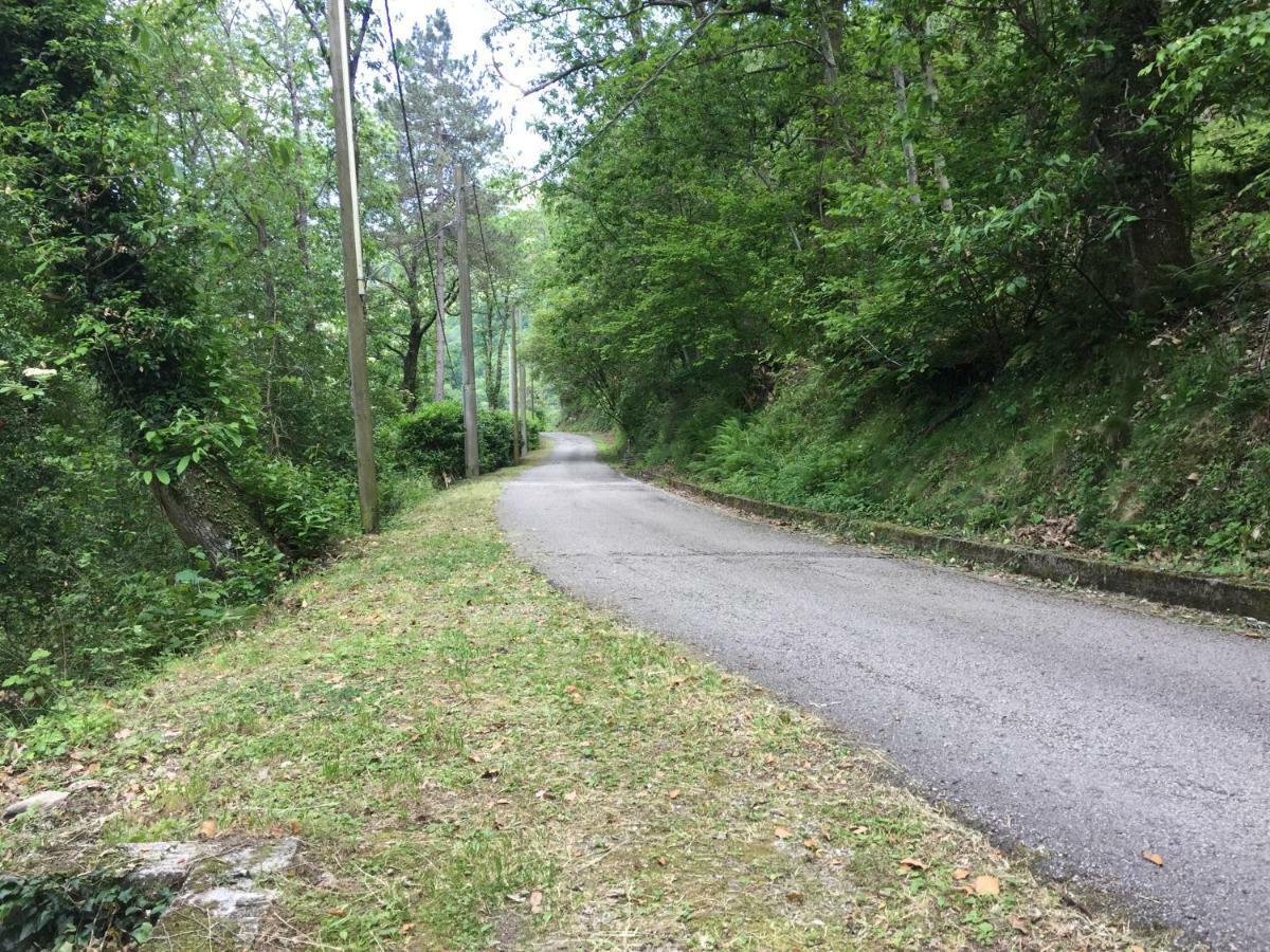 Il Frutteto Natura A Relax Stazzema Exteriér fotografie